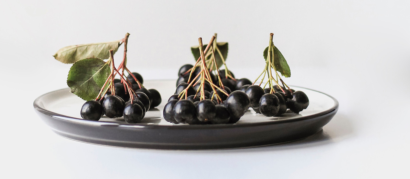 Juice Stop Organic Aronia